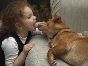 Das Kind küsst den Hund und infiziert sich mit Parasiten